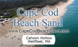 Cahoon Hollow Beach Sand from Wellfleet, MA