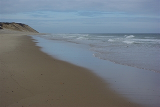 Newcomb Hollow