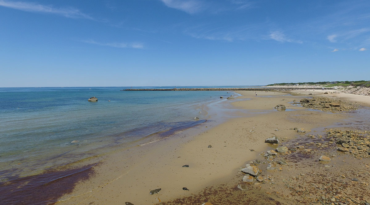 Cape Cod Beach