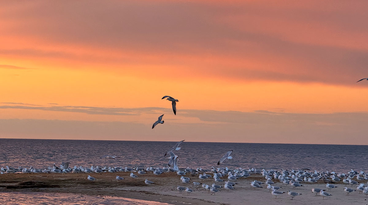 Cape Cod Beaches